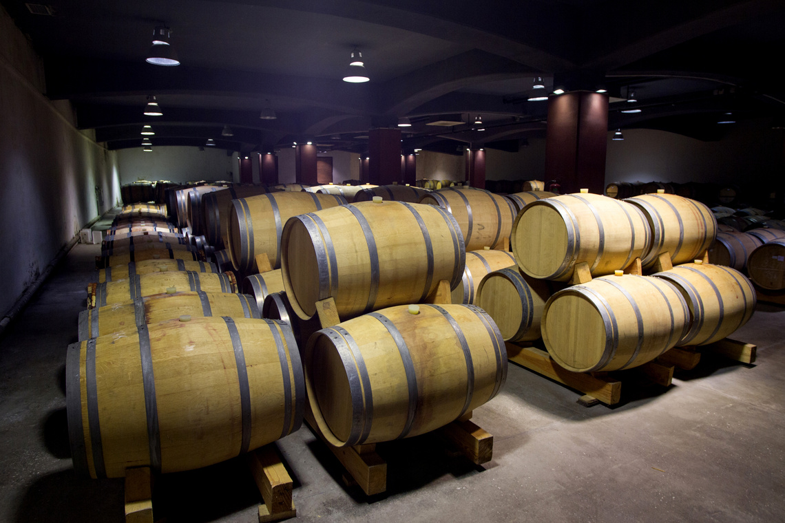 Wine Barrels Cellar Bulgaria